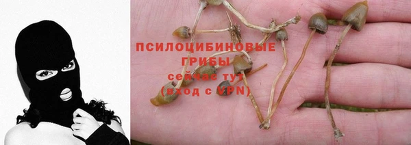 герыч Елизово